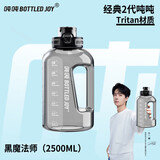 吨吨BOTTLED JOY运动杯子大容量水壶便携水杯生日礼物吸管直饮吨吨杯