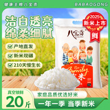 八宝贡云南米贡米新米一季稻家米10kg长粒香籼米真空装现碾大米