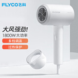 飞科（FLYCO）电吹风机家用冷热风大功率吹风筒大风电风吹机吹飞 雪白