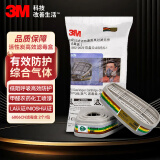 3M6006CN滤毒盒防多种有毒气体化工喷漆专用 2个/包