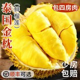 采缇（CAITI）正宗泰国金枕头榴莲新鲜榴莲水果巴掌榴莲带壳整个当季鲜果 2-3斤榴莲盲盒（一天一百个)
