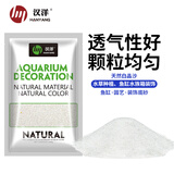 汉洋HANYANG鱼缸造景溪流石底砂铺底石头养鱼乌龟免洗沙子观赏装饰水族用品  白晶沙 20-40目颗粒1kg