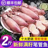 慧鲜森 海兔子满籽笔管鱼鲜活冷冻海鲜籽乌章鱼新鲜墨鱼仔小鱿鱼乌贼 3包 780g(净重)