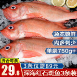 鲜拔头筹 红石斑鱼 大眼鱼富贵鱼深海鱼生鲜鱼类 海鲜水产 3条  4.5斤
