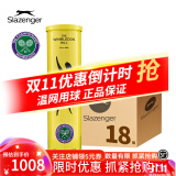 史莱辛格（Slazenger） 网球温网用球铁罐/胶罐训练比赛施莱辛格豹子球练习球专业网球 铁罐四粒装/1箱 340973