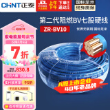 正泰（CHNT）电线电缆电源线铜芯家用电线阻燃单股铜线电线10平方100米蓝色