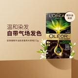 欧莱雅（LOREAL）染发膏深盖白染发剂正品自己染发剂易上色均匀发色自然臻萃精华油 青木黑褐 172g*1盒 【自带气场】