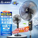 小霸王电风扇落地扇家用立式摇头风扇落地客厅宿舍工厂大风力落地风扇机械遥控4档轻音电扇 18英吋机械款-3米线【升级铜芯电机】