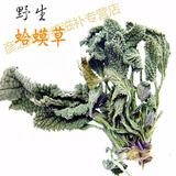 九九和仁【 亏本卖】蛤蟆草  干 整颗带根 癞蛤蟆草雪见草荔枝草幼苗干品 九九和仁 蛤蟆草100克