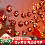 黛莉嘉尔新年彩灯氛围灯串联春节彩灯过年氛围灯户外防水满天星星led灯带