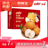 京鲜生 长城羊脂秋月梨 正宗特大果 净重7斤 5-9粒 生鲜水果礼盒