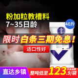 华畜 4%生长猪仔猪小猪预混料猪饲料育肥猪复合预混合饲料母猪饲料豆 教槽料【整吨低至123.9/袋】