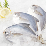 冰鲜白鲳鱼400g（4条装）