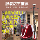 铭心立式蒸汽熨烫机大功率3000W挂烫机上海美田电熨斗服装店专用 铭心588银色（不推荐）