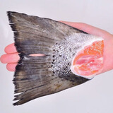 朵芙挪威三文鱼排 鱼脖 3斤  鱼腩条三文鱼头 碎肉边角料新鲜三文鱼扒 精选三文鱼尾巴 2000g