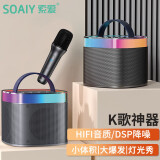 索爱（soaiy）麦克风音响一体带话筒k歌家庭KTV自带声卡蓝牙音箱神器无线唱歌家用卡拉ok SK2单麦太空灰