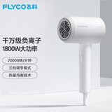 飞科（FLYCO）2000W电吹风机家用小型冷热风发廊大功率吹风筒大风力可折叠速干吹风筒学生校园宿舍用FH6232/31 飞科6290普通装