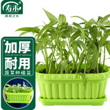 寿禾 种菜盆阳台家庭蔬菜种植方形盆 长形蔬菜种植盆(绿色)组合装2个