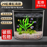 最萌乌龟缸家用带晒台爬台生态亚克力饲养箱造景水循环客厅造景小鱼缸 29*19*26圆形【裸缸】