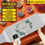 诺泰（nuotai）电加热盐袋海盐热敷包艾灸理疗袋艾草肩颈腰膝腿部粗盐实用礼物