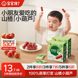 宝宝馋了无糖棒棒糖卡通零食儿童蜜饯糖果休闲零食营养原果享宝宝婴儿食谱 小葫芦山楂棒 90g