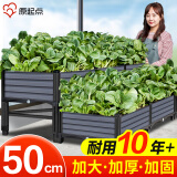 原起点50cm加大阳台种菜箱长方形塑料花盆户外蔬菜种植神器室外花箱花槽 架高二阶6联箱(150*80*35)