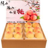 阳山水蜜桃无锡阳山 新鲜水果时令桃子礼盒 源头直发包邮 单果4-5两12个礼盒装净重5斤多 甄选一级果-绿色食品