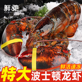 鲜驰熟冻 波士顿大龙虾波龙加拿大进口虾类活虾大龙虾海鲜 波士顿龙虾 净重400-500g*2只