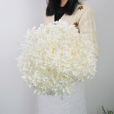 匠心绽放绣球超大头永生花天然干花束真花轻奢高端摆件客厅装饰白色20272