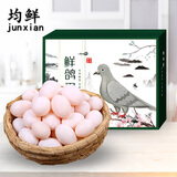均鲜大个种鸽蛋礼盒装新鲜鸽子蛋杂粮喂养养殖信鸽蛋白鸽蛋孕妇宝宝 30枚 750g 大个种鸽蛋水墨绿礼盒装