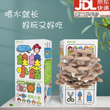 靓做平菇菌包菌种食用菌蘑菇盒子种植栽培菌包阳台趣味盒装儿童礼物 平菇【礼盒款-1个装】