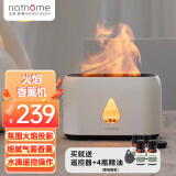 北欧欧慕（nathome） 香薰机仿真火焰加湿器卧室家用办公室夜灯桌面迷你低噪空气增湿机送好友礼物NJH18送女友礼物 三档定时 远程遥控【冰川白+精油4瓶】