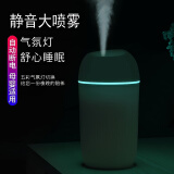 呆瓜儿迷你加湿器家用小型usb插电孕妇婴儿卧室办公室宿舍学生桌面便携式空气喷雾加湿器 大雾量【冰川白】 420mAh 通用