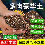 花大师 多肉营养土专用颗粒土多肉土壤盆栽种植土幼苗成苗老桩透气土  豪华多肉土5斤 幼苗成苗通用