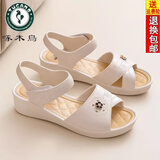 啄木鸟妈妈凉鞋女夏天25新款软皮坡跟舒适平底外穿中老年防滑耐磨中年女 白色 37-38 38-39【适合平时】