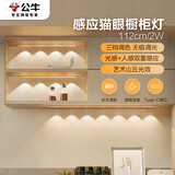 公牛（BULL）感应猫眼橱柜灯磁吸充电山丘光效展柜玄关氛围小夜灯 银112cm三色