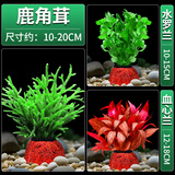 疯狂水草（FKSC）真水草鱼缸造景套餐净化水质懒人鱼缸水草植物直接入缸蜈蚣草 【赛级精品】鹿角茸+水罗兰+血心兰