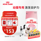 皇家幼猫奶糕 幼猫猫粮 BK34 通用粮 1-4月 2KG