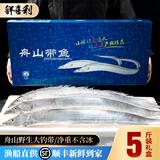 鲜喜利舟山小眼带鱼礼盒装鲜活冷冻特大整条新鲜油带年货海鲜大礼包送礼 【5斤礼盒装】4条顶带