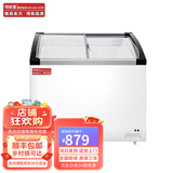 领航雪冰柜商用大容量市冷冻冰箱展示柜卧式保鲜雪糕柜冰糕柜冰棍柜  0.6米长雪糕柜铜管【带锁+带价格条】