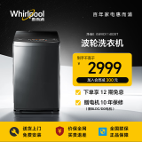 惠而浦（whirlpool）10公斤全自动波轮洗衣机大容量家用 一键启动 DD直驱变频 参数可调 仿手洗 EWVD114020T 火山灰