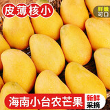 锁季海南小台芒果新鲜水果当季热带水果核薄甜心芒果孕妇水果春节礼盒 5斤精选果 单果50g+ 净重4.5-5斤