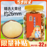 鼎立罐装夏威夷果500g 奶油味每日坚果仁干果类零食小吃特产送礼