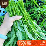 北蔬 空心菜种子苗柳叶青梗小竹叶蔬菜种籽 柳叶空心菜种子25g约500粒