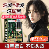 同仁堂 一洗黑染发剂 植物泡泡盖白染发霜焗油膏轻松染 黑茶色500ml