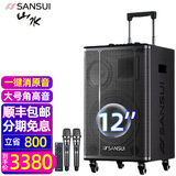山水（SANSUI） E系列户外K歌 8吋12吋15吋 移动k歌唱歌广场舞拉杆音箱蓝牙5.0 室内室外大功率演出音响 E12豪华版（12吋重低音+双话筒）