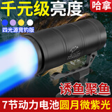 哈拿（TRE-Hana）夜钓灯大功率调焦蓝光野钓钓鱼灯超长续航强光超亮激光小炮 黑色H286S小竹节【旗舰版】 灯+灯包+充电线+1.4米支架