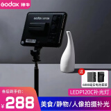 神牛（Godox） P120C-P260C LED补光灯平板摄影灯直播网红主播灯可调色温摄像灯柔光灯美食婚庆打光摄像补光灯 【9】P120C补光灯+6000电池套装+灯架