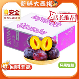 卫青沙窝新鲜国产西梅应季新鲜水果时令李子 5斤特大果 单果25-35g 净重4.5斤