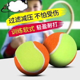 健田（JIANTIAN）网球高弹耐磨网球练习款成人青少年训练球高弹户外玩具开学季2支